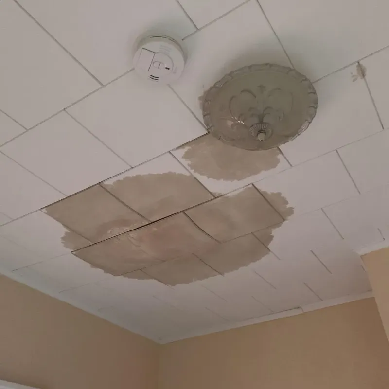 Ceiling Water Damage Repair in North Zanesville, OH