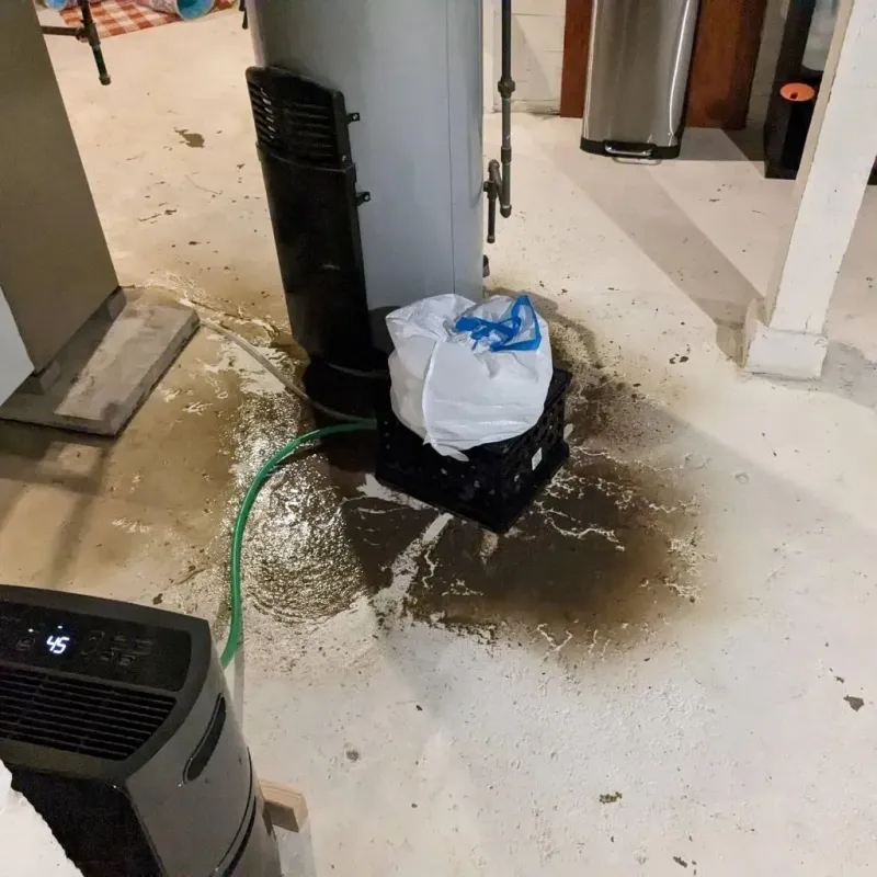 Sewage Backup Cleanup Service in North Zanesville, OH